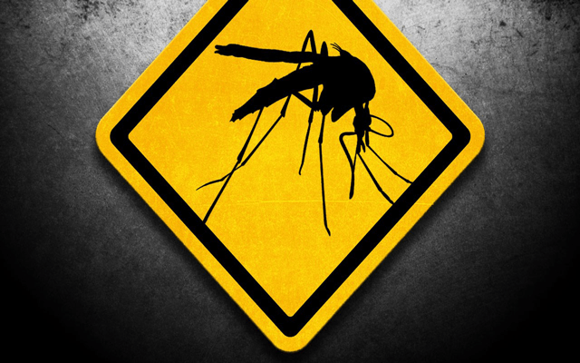 The CDC Has Been Using The Wrong Zika Tests, see more at: http://patriotplanets.wpengine.com/the-cdc-has-been…wrong-zika-tests/
