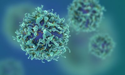 T-cells | 15 Cancer Warning Signs You Shouldn’t Ignore in 2020 | Featured