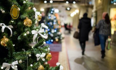 Christmas Tree | Steve Moore Says Holiday Shopping Sales Prove People Feel Great About Trump Economy | Featured