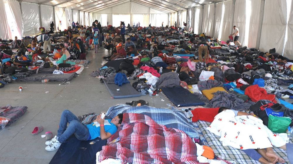 Evacuees | The Population of Illegal Immigrants in the US Increased by 550,000+ in 2019 | Featured
