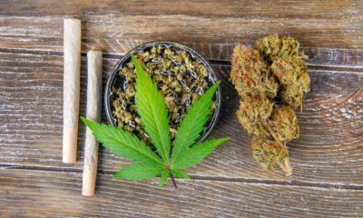 Marijuana | Michigan Goes Recreational for Marijuana Consumption | Featured
