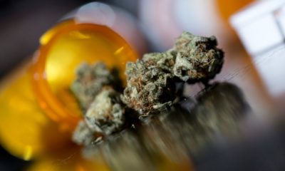 Marijuana as Medicine | More Doctors Are Using Marijuana as Medicine | Featured