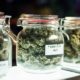 kinds of marijuana in containers | Illinois Rings in New Year with First Day of Recreational Marijuana Sales | Featured