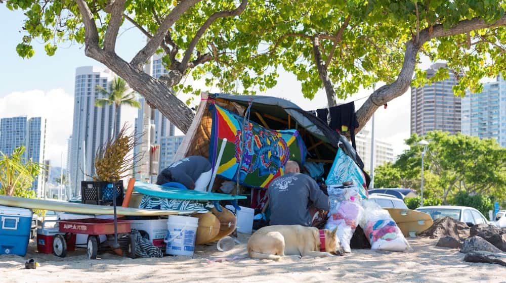 homeless man with his dog in Hawaii | Hawaii Drops to No.2 in Homelessness as Trends Improve | Featured