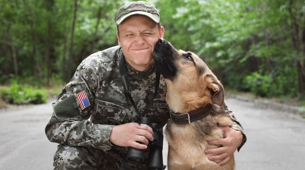 Soldier with a german shepherd dog
