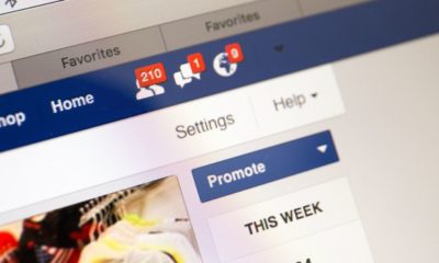 facebook notifications | A Business Page About This Woman’s Butthole Caught Her Attention on Facebook | Featured