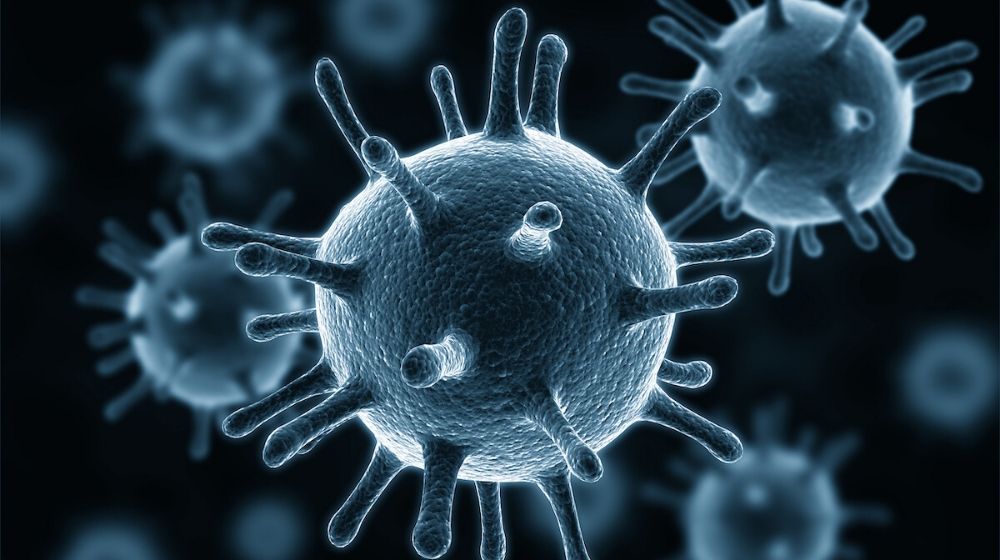 Virus organism in 3D | CDC: At Least 19M Americans Sickened by Flu So Far this Season | Featured