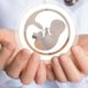 Icon of the Embryo in the Doctor's Hand | “Jaw-Dropping” Fall in Fertility Rate | Featured