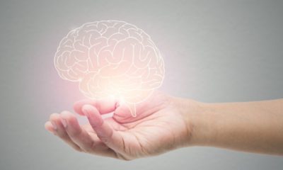Man Holding Brain Illustration Against Gray Wall Background | Number of Employed Americans Struggling with Mental Health Conditions Remains High | Featured