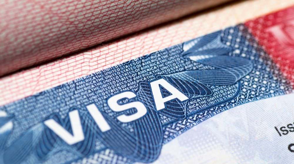 Visa Stamp in Passport | Businesses Are Unable to Employ Foreign Workers Due to Freeze on Visas | Featured