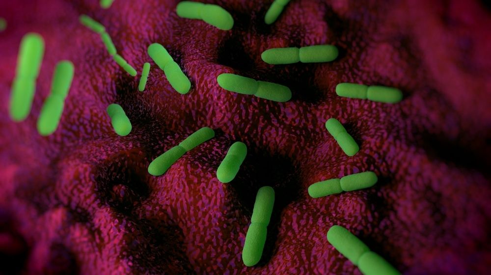Yersinia pestis bacteria | China Reports Suspected Cases of Bubonic Plague | Featured