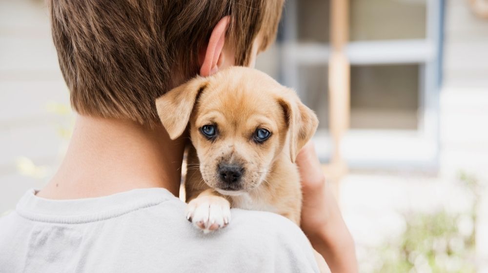 Young Boy Holding His New Terrier Mix Puppy | Pet Adoption Has Surged During COVID-19 Pandemic, But We Must Remain Cautious | Featured