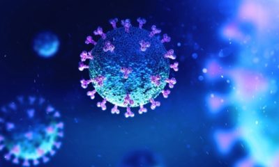 3d illustration of Coronavirus COVID-19 under the Microscope | CDC Study Shows “Evidence of Asymptomatic Transmission of COVID-19 on an Airplane” | Featured