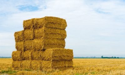 A Stack of Hay Bales in a Rural Landscape | Man Shows Support for Trump Using Hay Bales After Vandals Cut Down His Signs | Featured