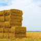 A Stack of Hay Bales in a Rural Landscape | Man Shows Support for Trump Using Hay Bales After Vandals Cut Down His Signs | Featured