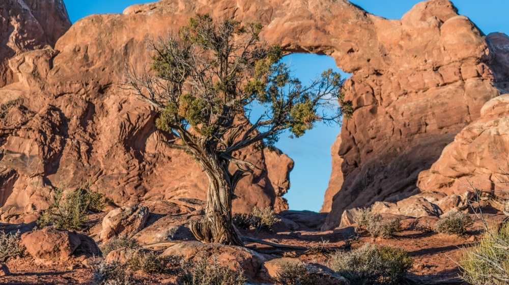 Arches National Park-National Parks Require Mask Under Biden's Executive Order-ss-Featured