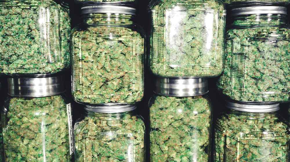Marijuana Buds in Glass Jar Stack-New Jersey Decriminalizes-ss-featured