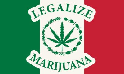 Banner in the form of the Mexican flag with a hemp leaf. The concept of legalizing marijuana, legalize cannabis in Mexico-Legalize Marijuana-SS-Featured