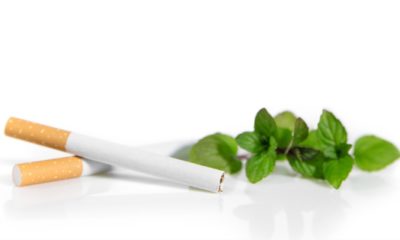 New Law in Germany, Menthol cigarettes are forbidden, cigarettes and Peppermint on white | FDA Bans Menthol Cigarettes and Flavored Cigars | Featured