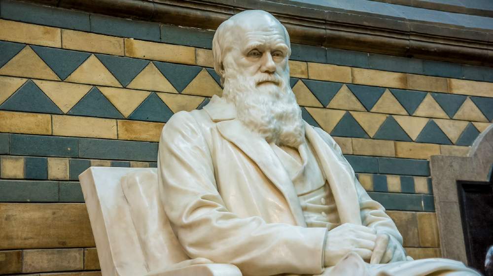 Statue of Charles Darwin located in the Natural History Museum in London-Darwinism-ss-featured