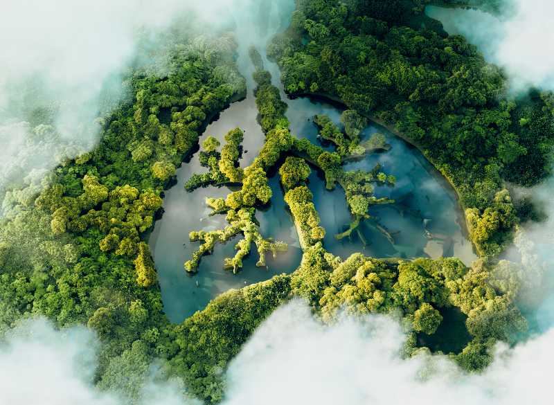 A conceptual image showing a lung-shaped lake | 6 Relevant Sustainable Necessities Which Must Be Proactively Addressed!