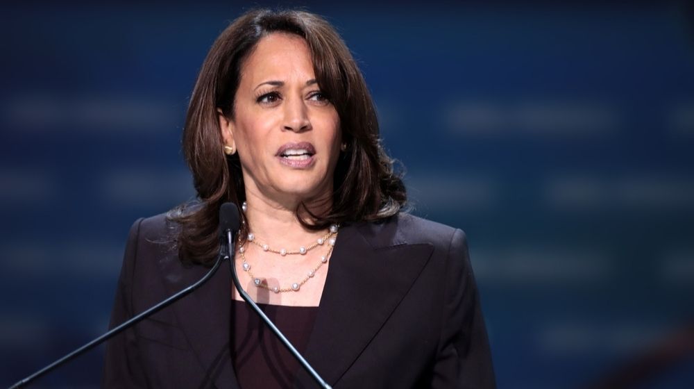 Clueless Kamala Blames Trump For Border Crisis After Months of Neglect-ss-Featured