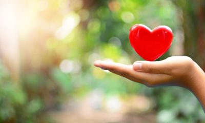 heart on hand for concept philanthropy | Mackenzie Scott Gave Away $2.7 Billion To Charity | featured