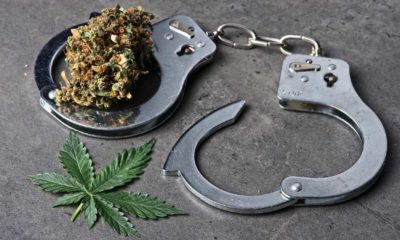 Cannabis bud and leaf with handcuffs depicting legal, law and decriminalization concepts | Senate Democrats To Push For Marijuana Decriminalization | featured