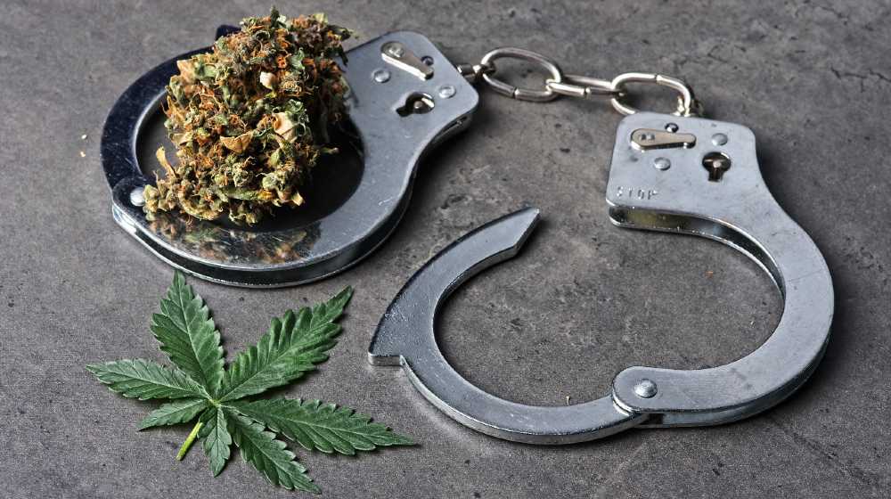 Cannabis bud and leaf with handcuffs depicting legal, law and decriminalization concepts | Senate Democrats To Push For Marijuana Decriminalization | featured