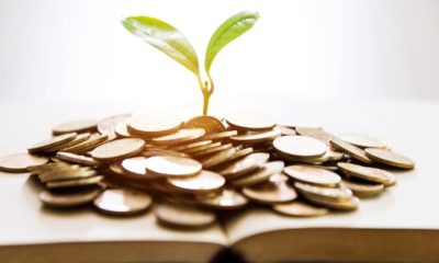 Seedling growing from books with coins | A Hidden Road To Recovery? The Magic Money Tree We Had All Along | featured