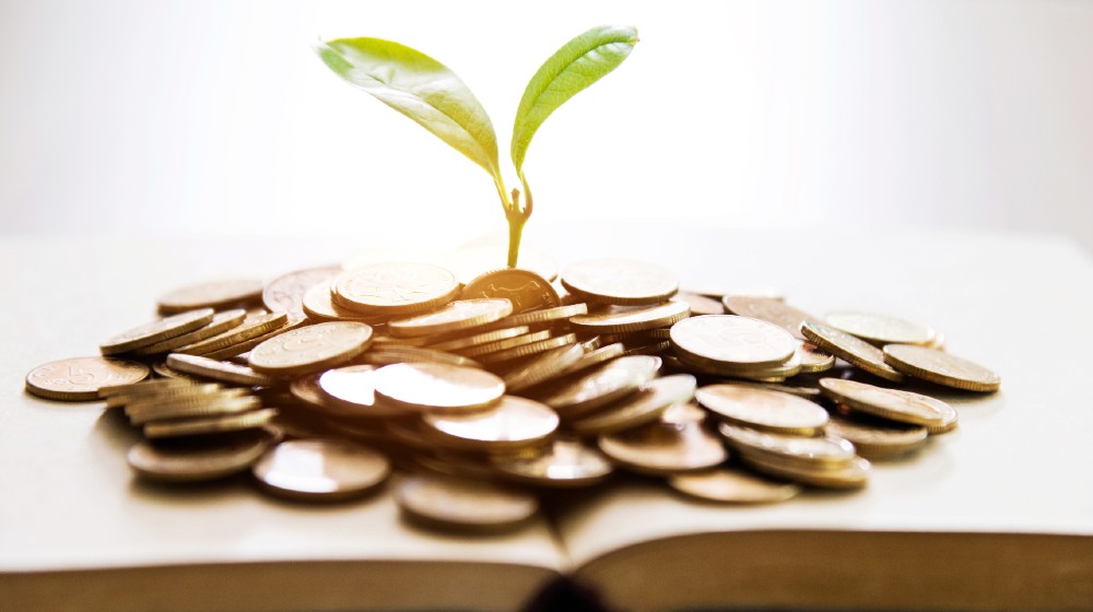 Seedling growing from books with coins | A Hidden Road To Recovery? The Magic Money Tree We Had All Along | featured