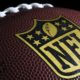 The National Football League (NFL) is a professional American football league | NFL to Forfeit Games if Unvaccinated Players Cause Outbreaks | featured