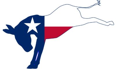 The Texan Democrat party donkey flag over a white background | Texas Democrats Get Out Of Dodge To Block Vote Reform | featured