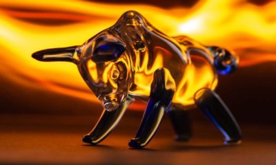 bull figurine on a black background in the glare of fire | How a Gold Bull Run Is Setting Up Beautifully | Featured