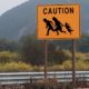 highway sign showing family crossing | Abbott Orders Texas National Guard To Arrest Migrants | featured