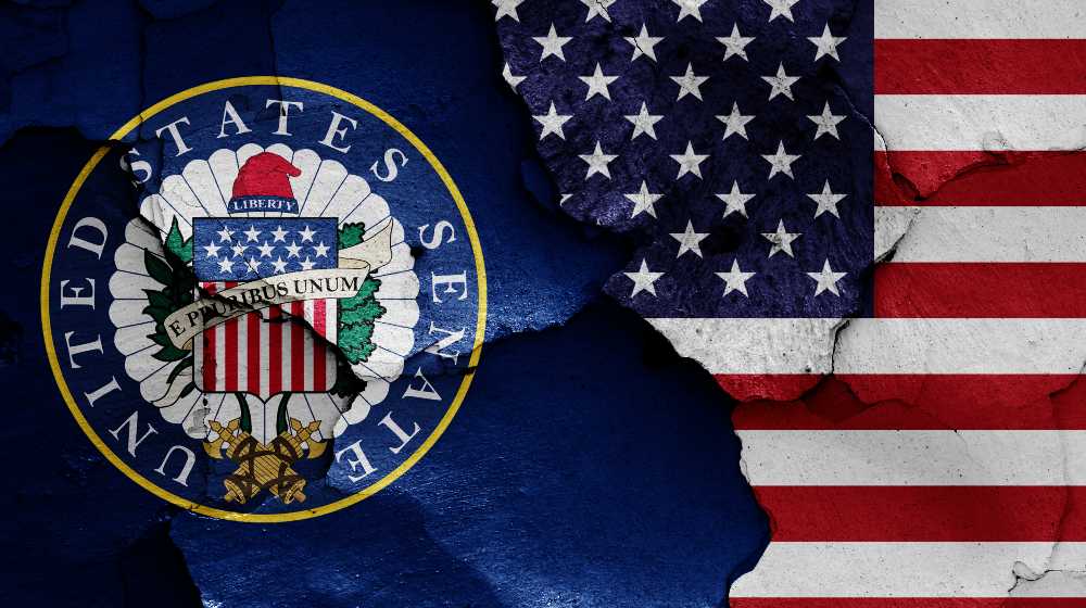 flags of United States Senate and USA painted on cracked wall | Dem’s Immigration Measures Blocked in $3.5T Spending Plan | featured