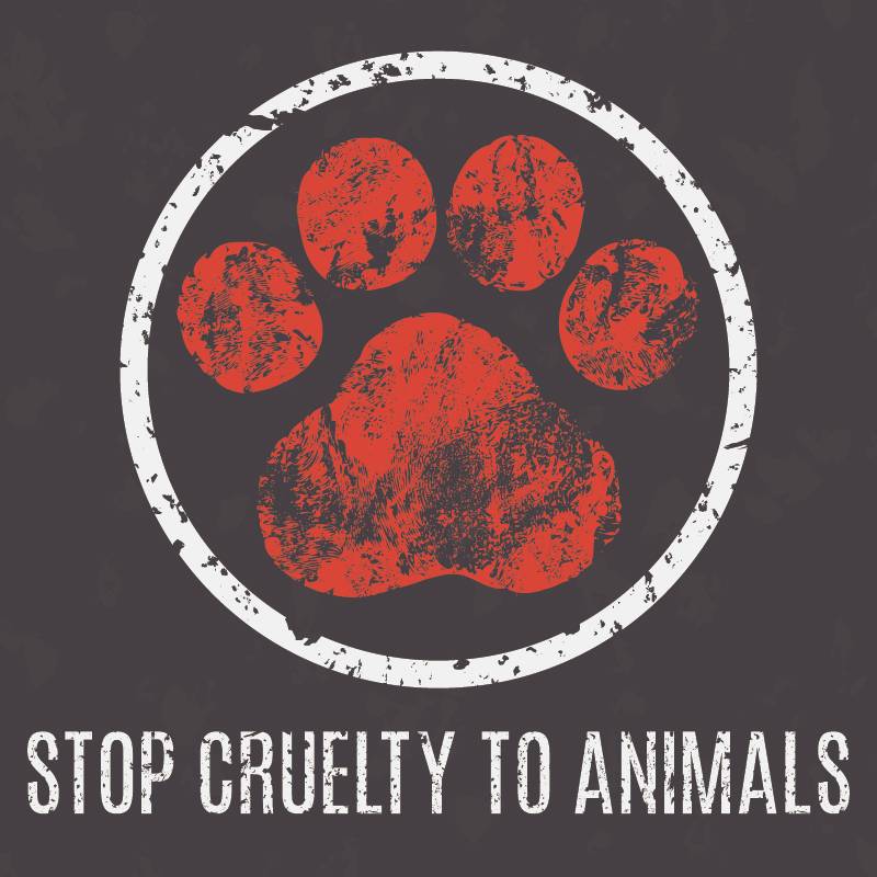 Social problems of humanity. Stop cruelty to animals sign-#ArrestFauci