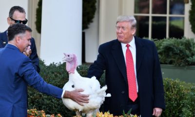 President Donald Trump pardons a Turkey names Butter at the annual ceremony in the Rose Garden of the White House | Trump’s Thanksgiving Message Hints At Running Again In 2024 | featured