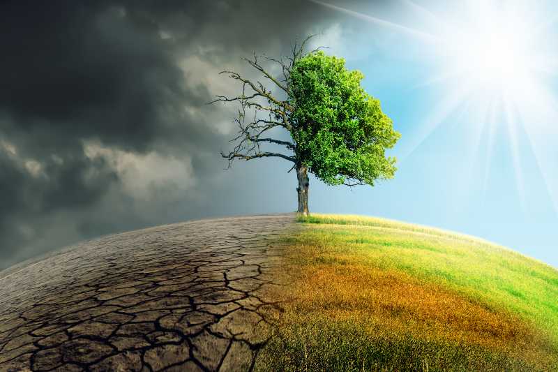 climate change withered earth-lawmakers