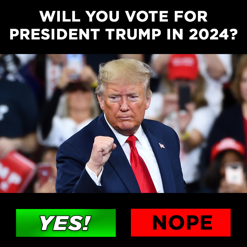 Will You Vote For President Trump