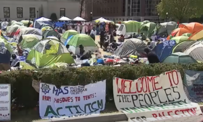 Columbia University President Steps Down Amid Israel-Palestine Conflict Protests