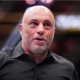 Joe Rogan Backs Trump, Says He Is In Complete Agreement with Elon Musk’s Vision for America