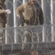 Court Affirms Texas State Government’s Right to Install Razor Wire Border