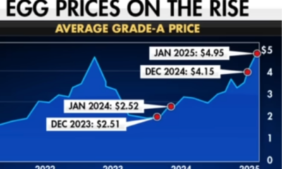 Eggflation: Why Egg Prices Remain at Record Highs