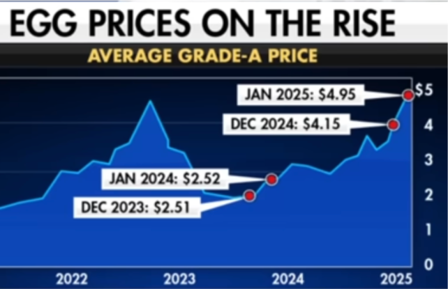 Eggflation: Why Egg Prices Remain at Record Highs