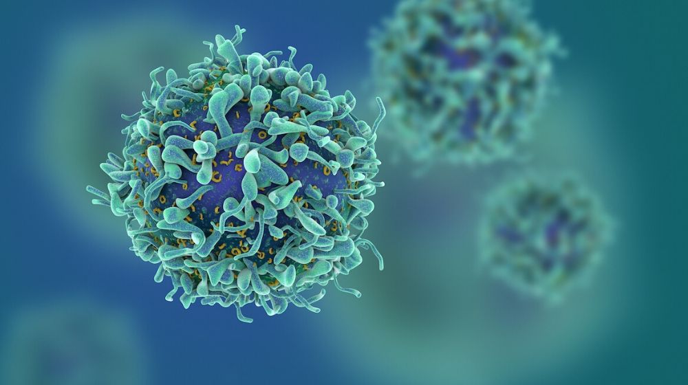 T-cells | 15 Cancer Warning Signs You Shouldn’t Ignore in 2020 | Featured