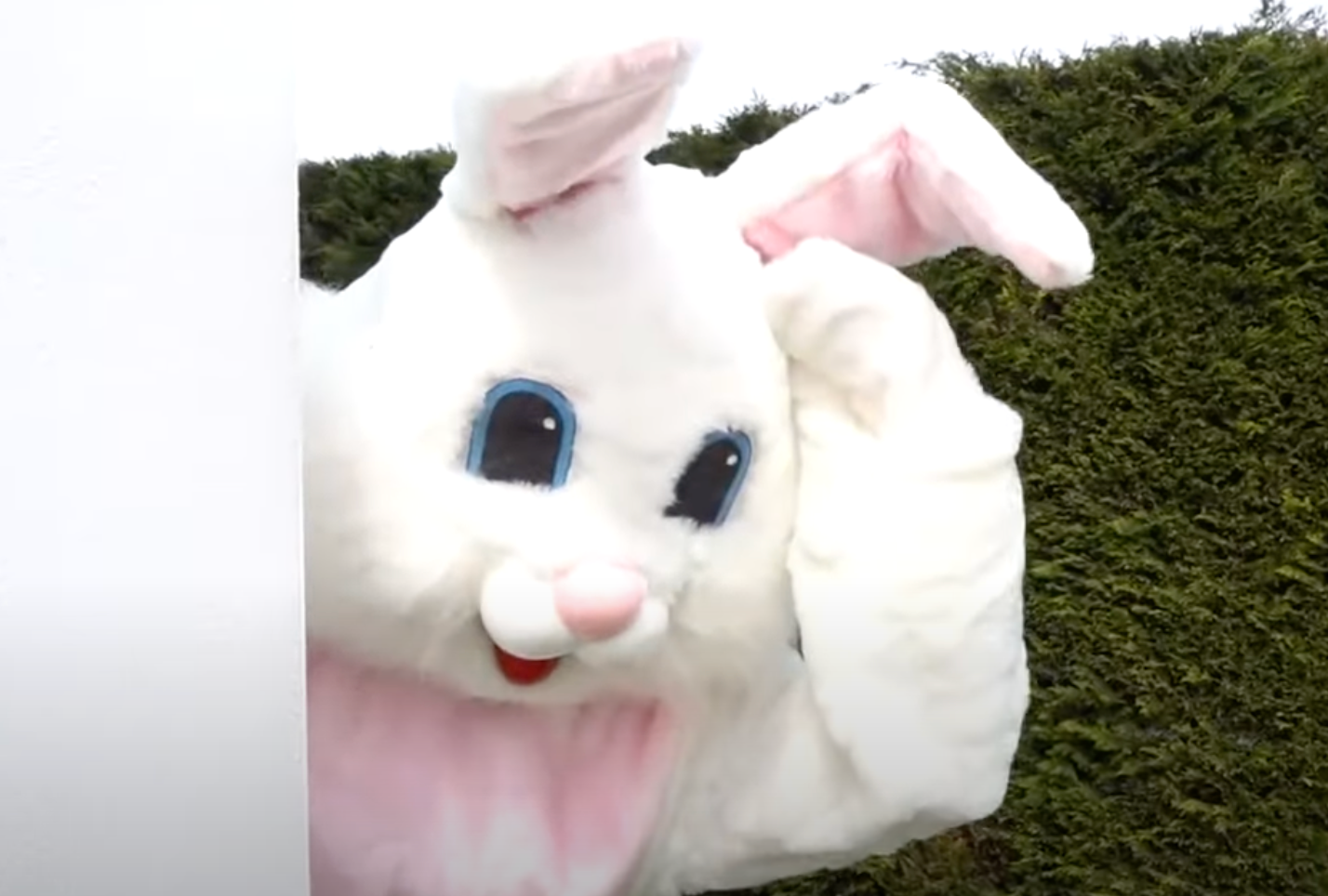 Americans Reconsidering Easter Egg Hunts Amid Soaring Prices