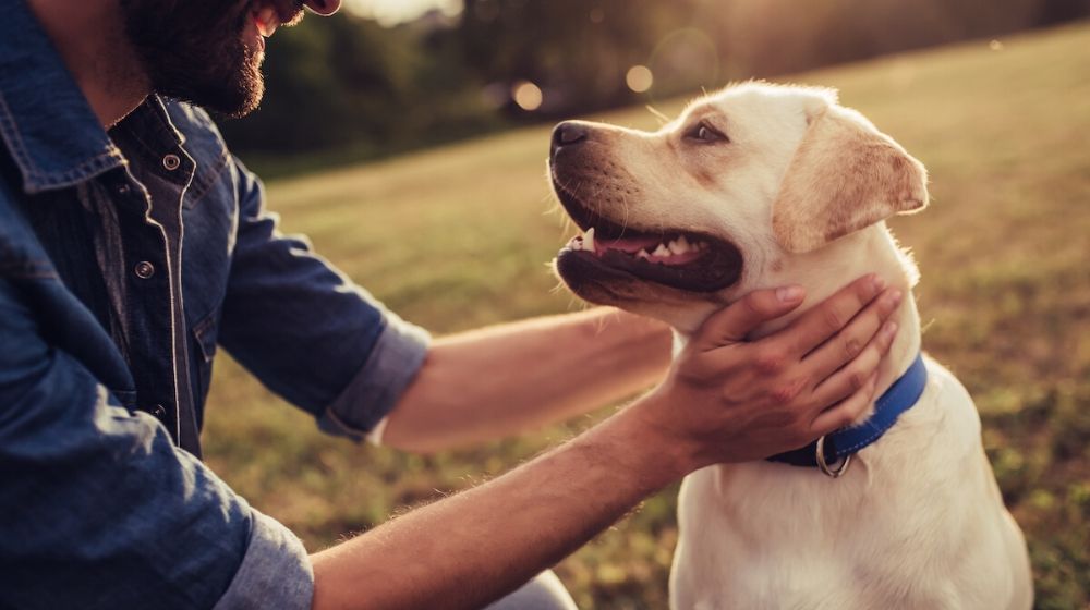 man holding his dog | Medicinal Mushrooms That May Protect Your Pet Against Cancer | Featured