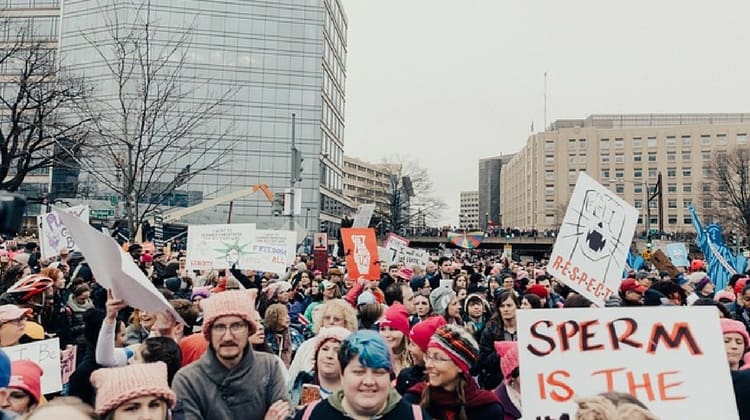 The Furious Fake News of Feminist Novelists