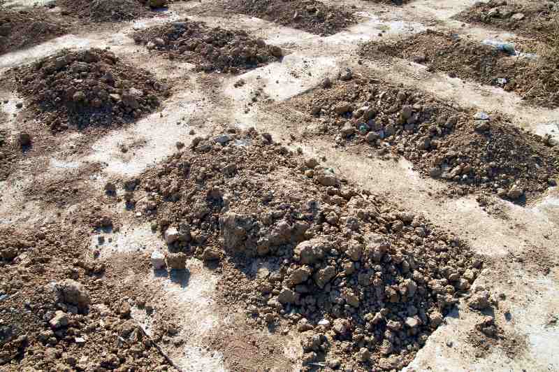 Fresh graves in a cemetery | Ukraine Mass Grave, Ketanji Brown Jackson, CDC Review & More